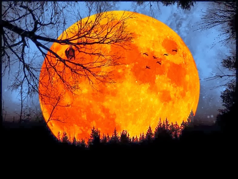 harvest_moon