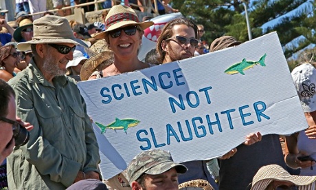 Demonstrators Protest Against Western Australia Shark Cull Policy