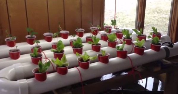 How To Build a Gravity-Based PVC Aquaponic Garden Very ...