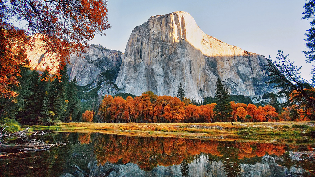 Autumn is the most colorful time of the year in Yosemite Beauty of
