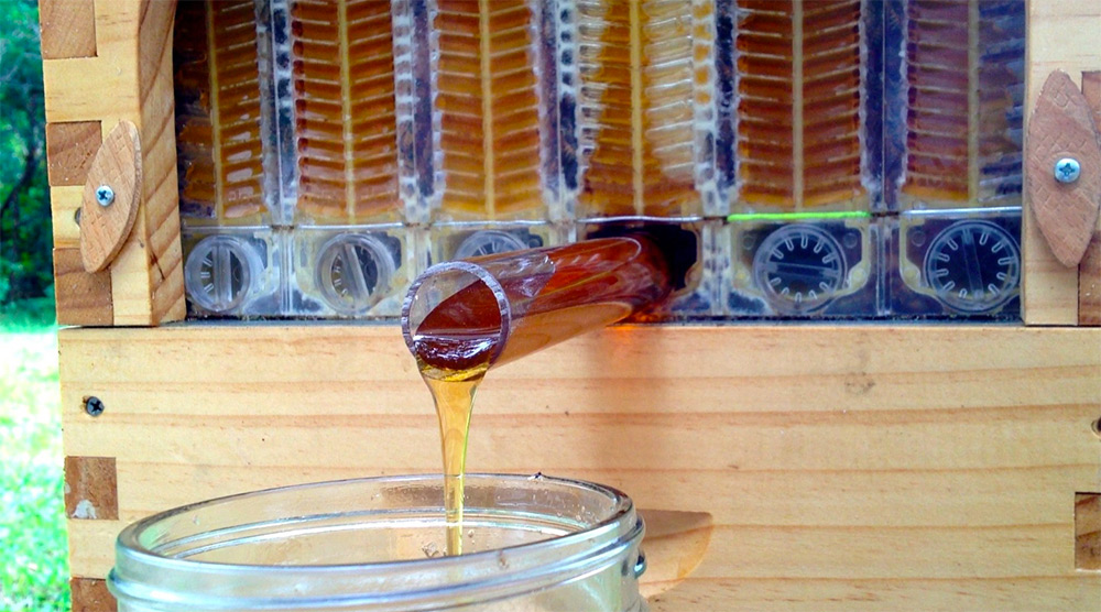 Honey on Tap A New Beehive that Automatically Extracts Honey without