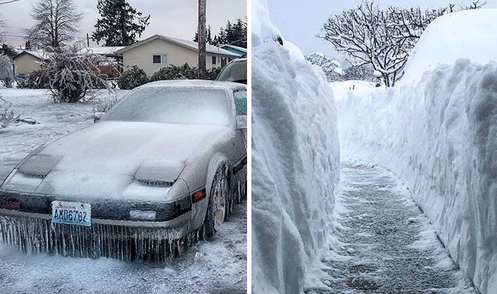 30 Pictures That Show Just How Cold It Is In North America Right Now ...