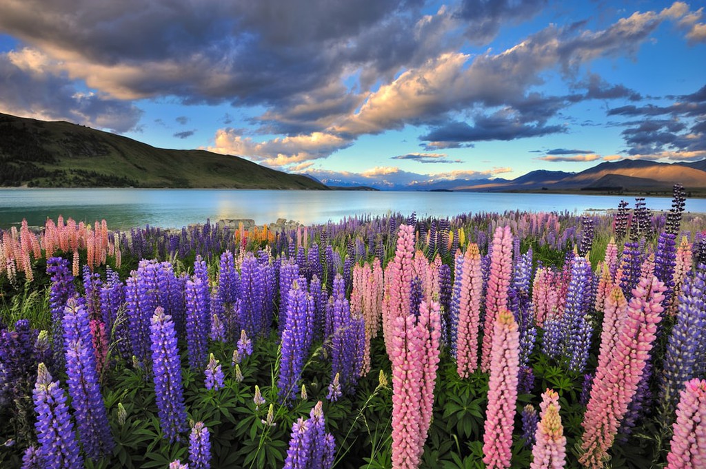 The 15 Most Beautiful Places to Visit in New Zealand | Beauty of Planet ...