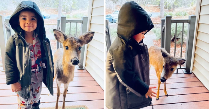 Kid Riding A Deer 4-Year-Old Boy Goes Out To Play, Befriended a Baby Deer And Brings Him ...